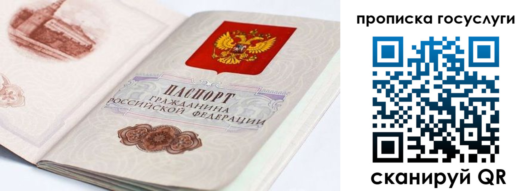 прописка гарантия в Тырныаузе